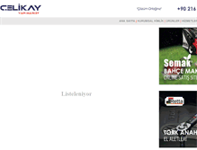 Tablet Screenshot of celikayyapi.com